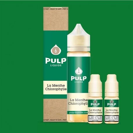 Menthe Chlorophylle Pulp Pack 60ml | Kumo
