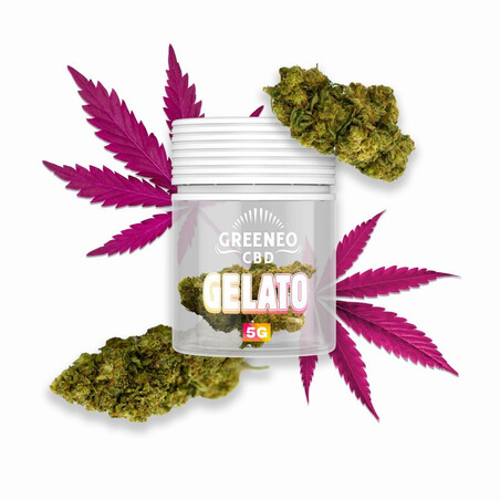 Fleur CBD Gelato 5g Greeneo - Qualité Premium | Kumo