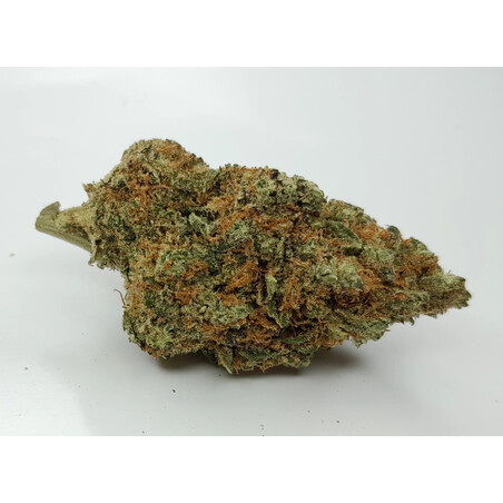 Tropical Dream 5g Fleurs CBD GC Distri | Kumo