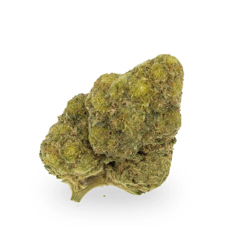 Lemon Cryo 10g Fleur CBD KUMO - Arôme Citron Glacé | Kumo