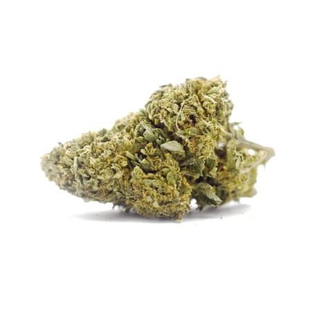 Super Skunk Indoor 5G Fleur CBD Kumo | Qualité Premium